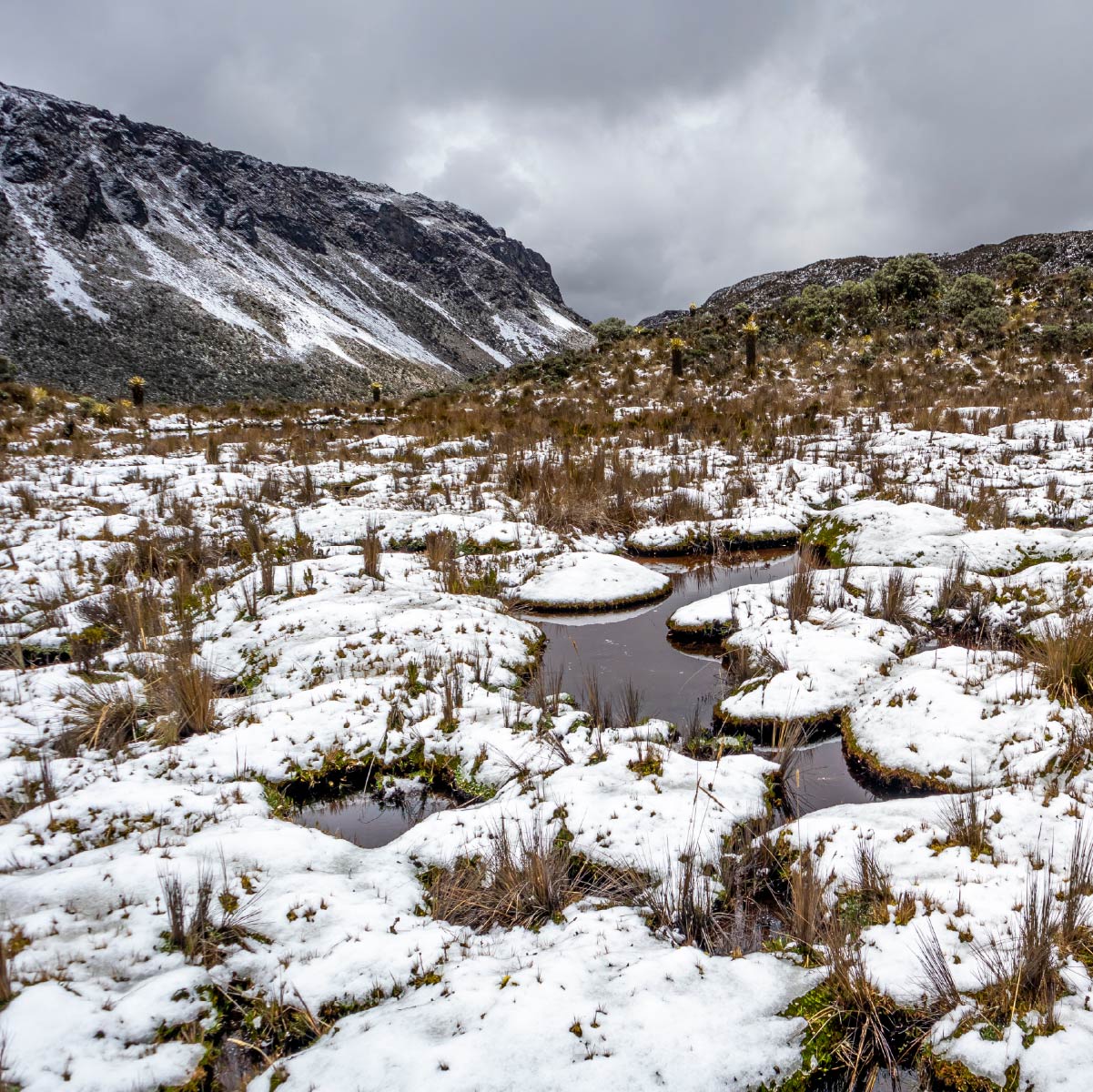 viajar al nevado del ruiz