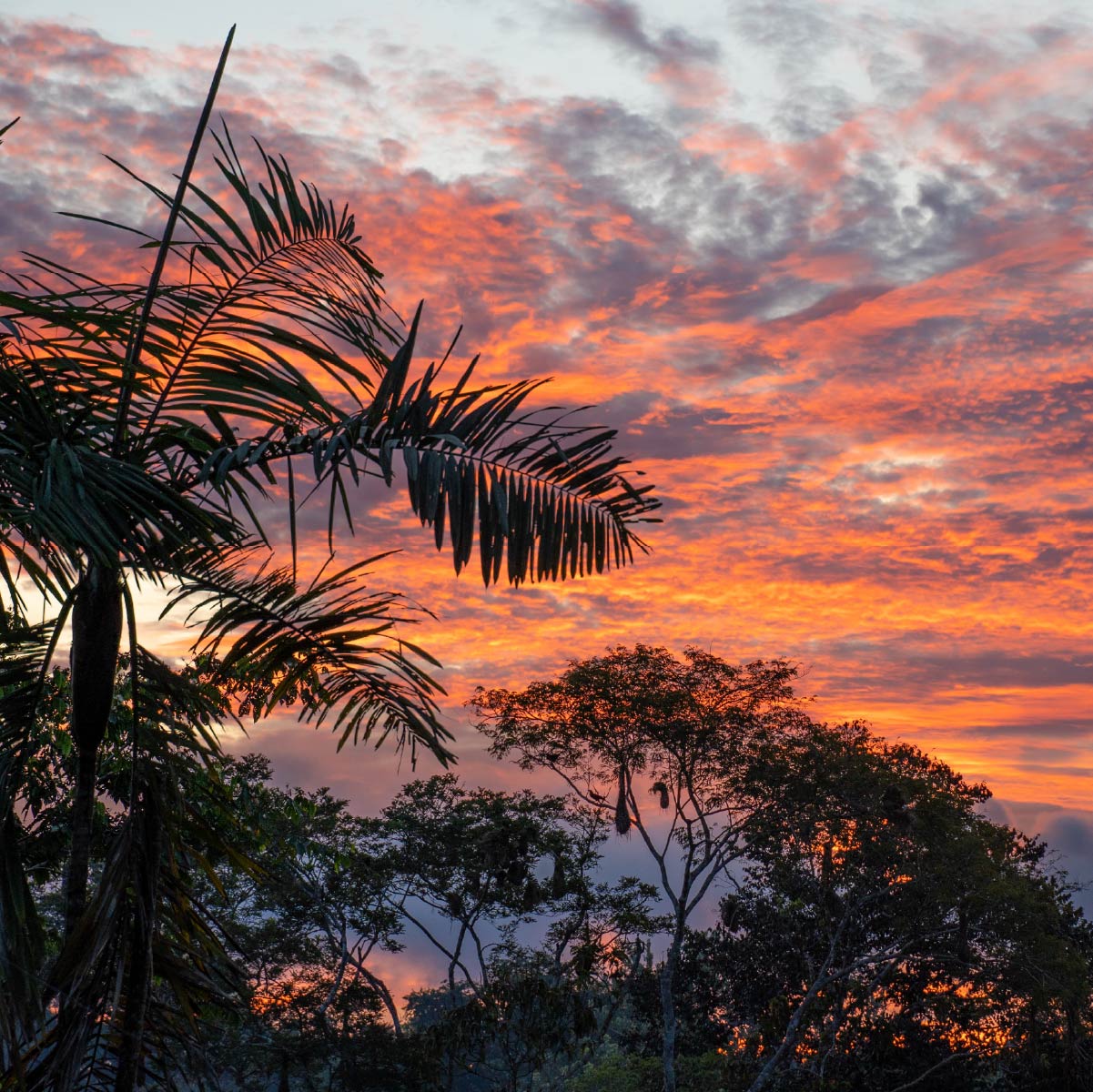 parque natural amayacu