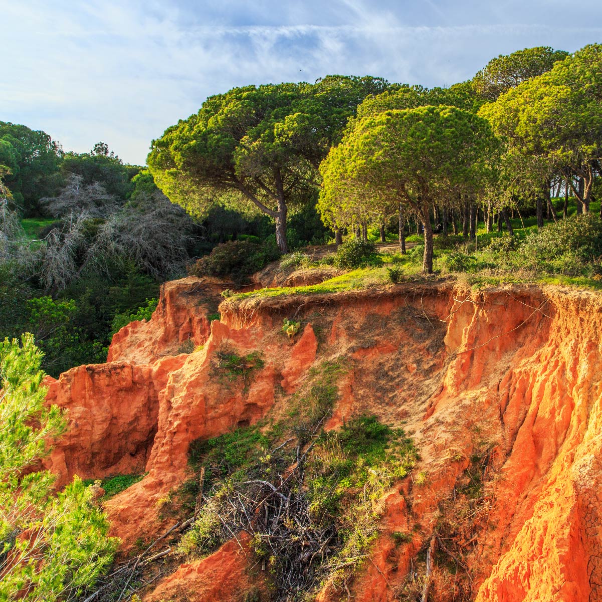 Parque Natural de la Ría Formosa