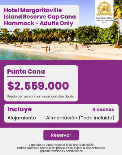 hoteles en punta cana